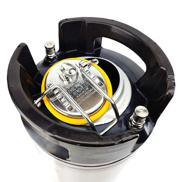 Cornelius Keg 19L