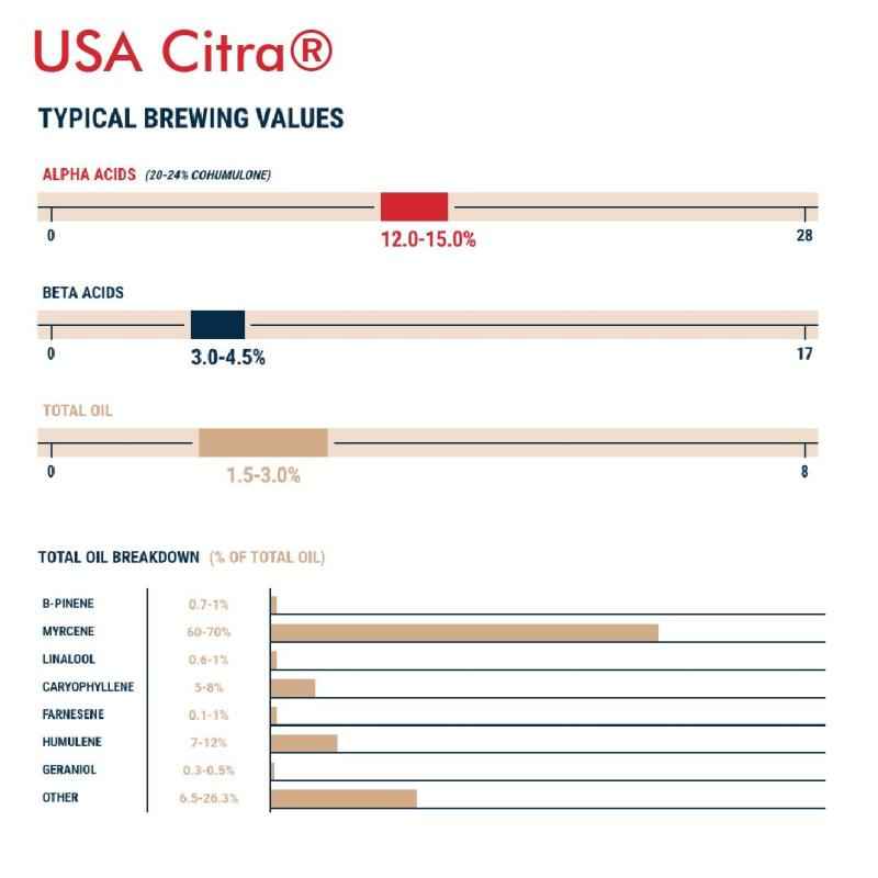 Citra Hops USA