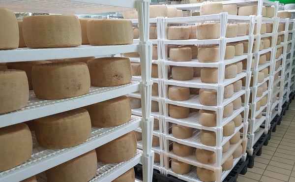 Cheese Draining / Maturing Grid