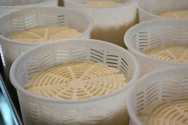 Cheese Mold 1 - 1.2kg Round