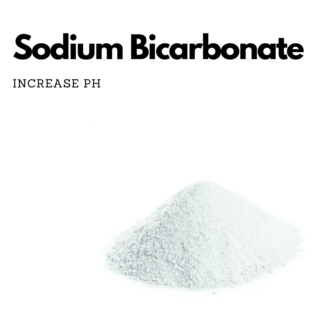 Sodium Bicarbonate 100 g