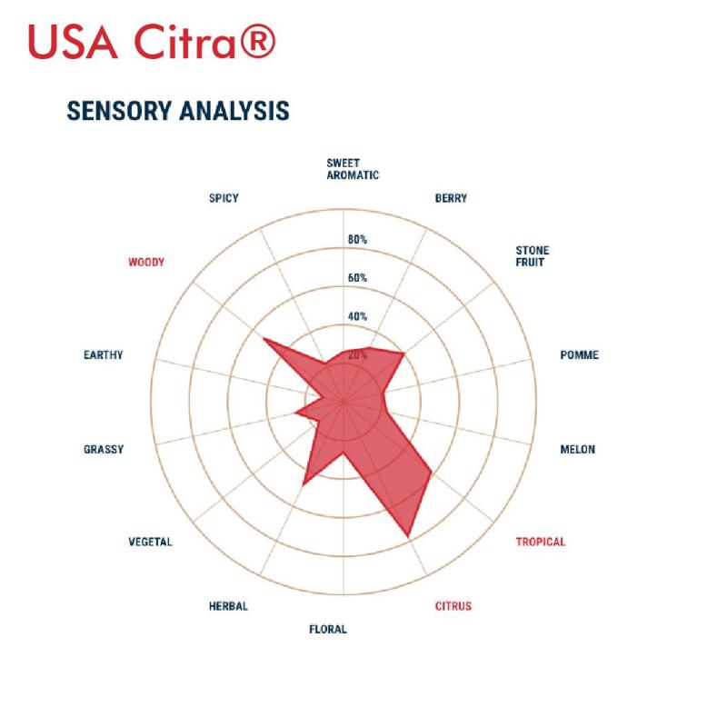 Citra Hops USA