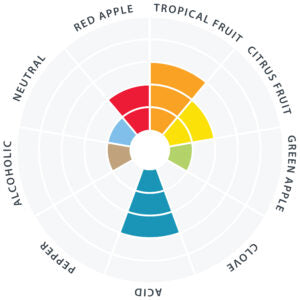 WildBrew™ Philly Sour