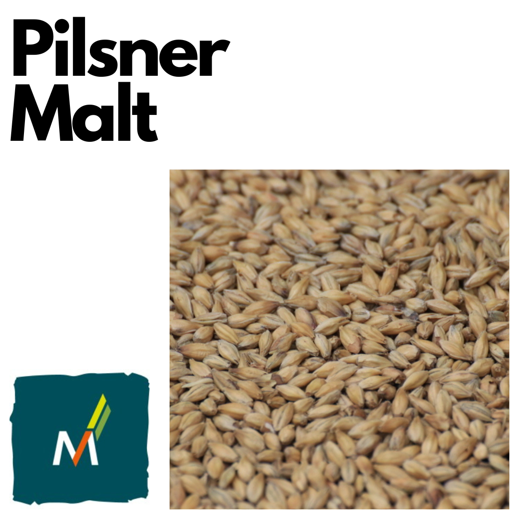 Pilsner Malt - Malteurop