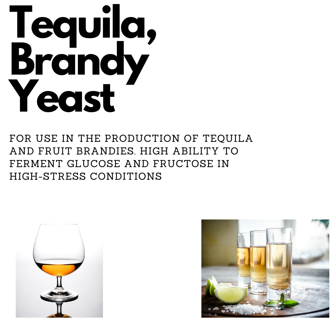 Tequila & Fruit Brandy Distilling Yeast 100g BeerLab Home Brew Supplies