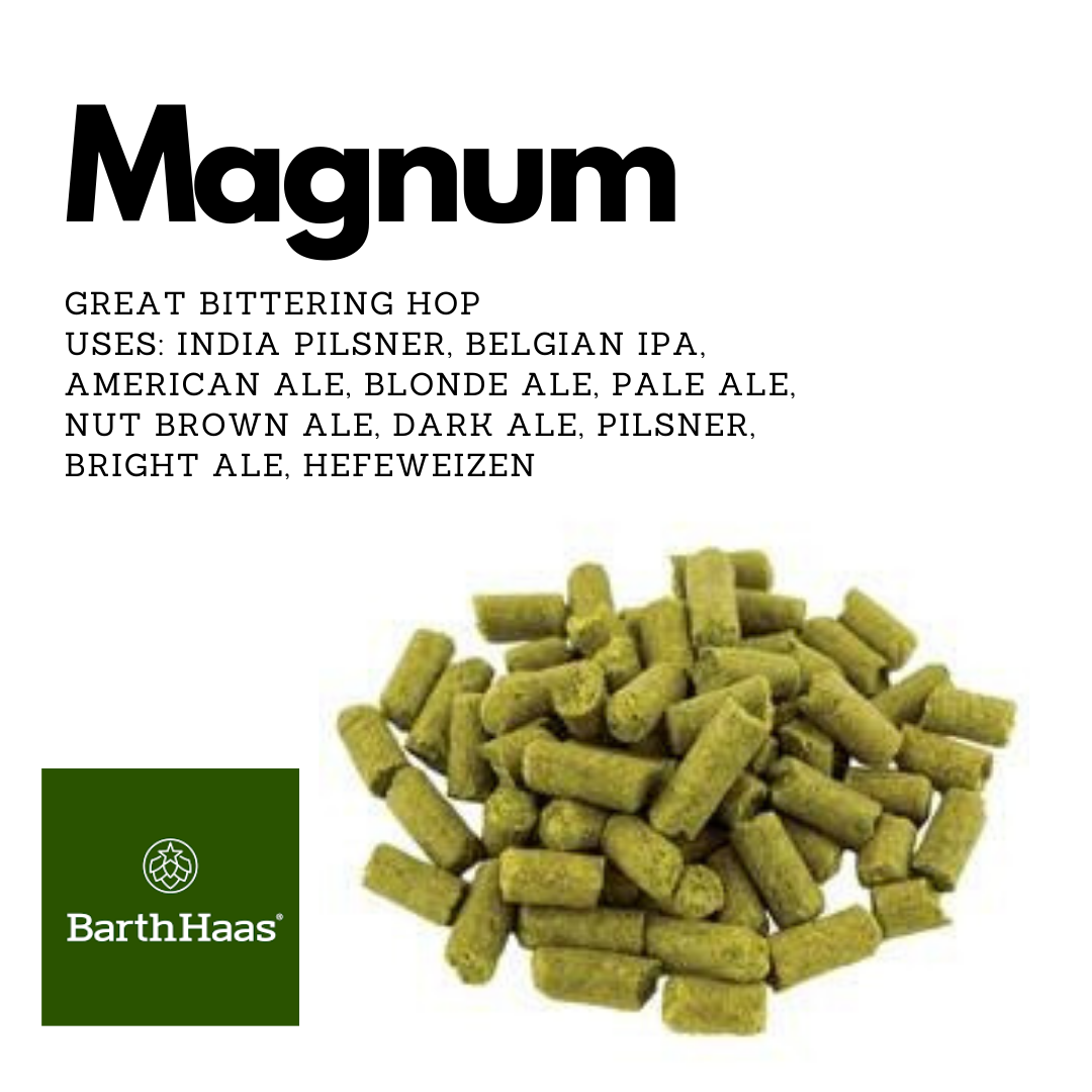 Hallertauer Magnum Hops German