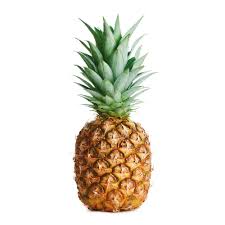 Pineapple beer yeast