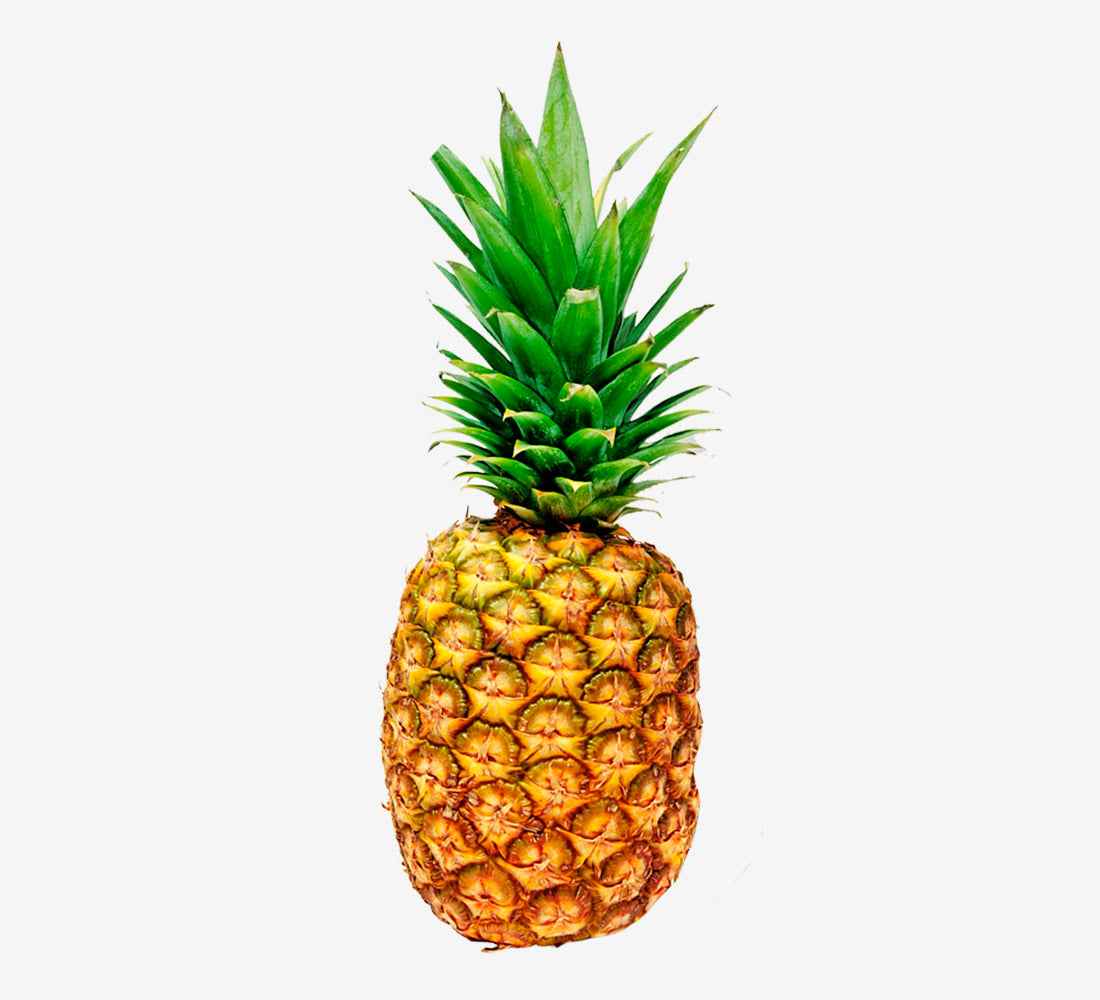 Pineapple Beer Yeast