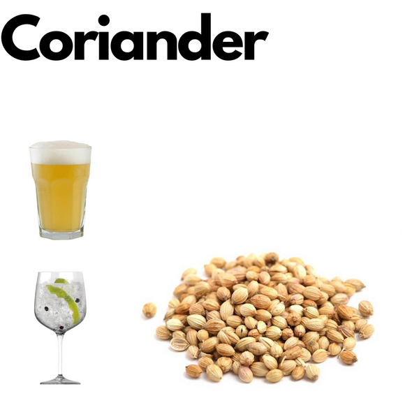 Coriander (whole) 50g