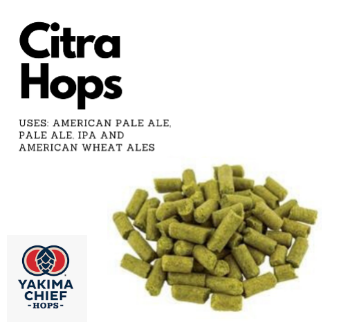 Citra Hops USA