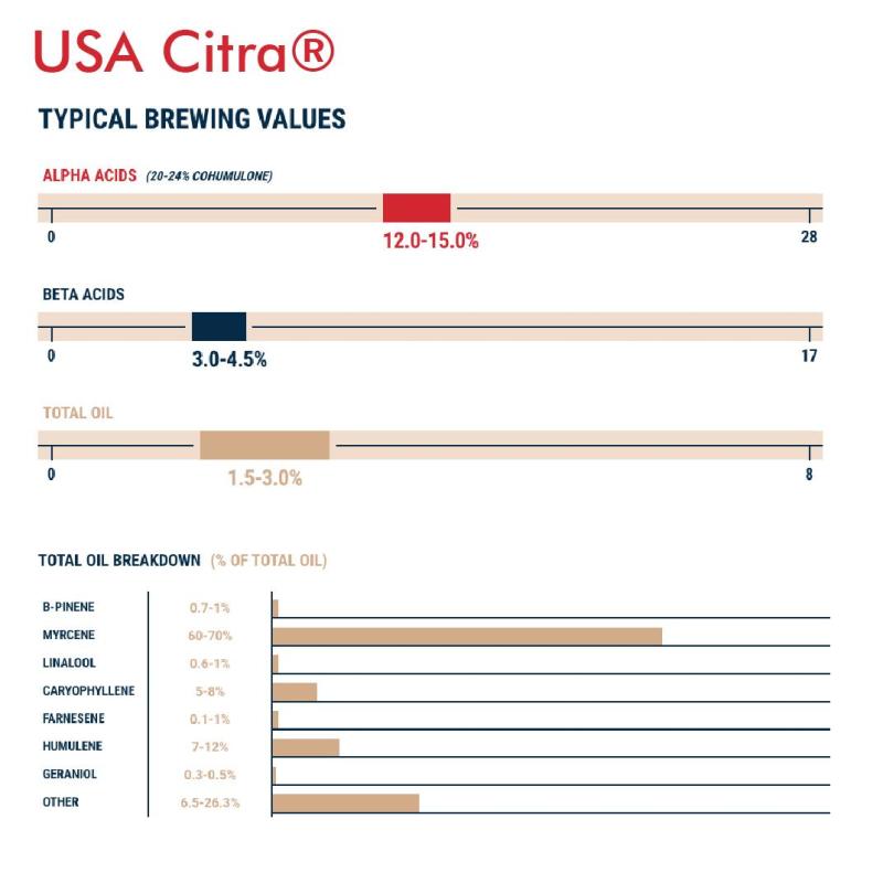 Citra Hops USA