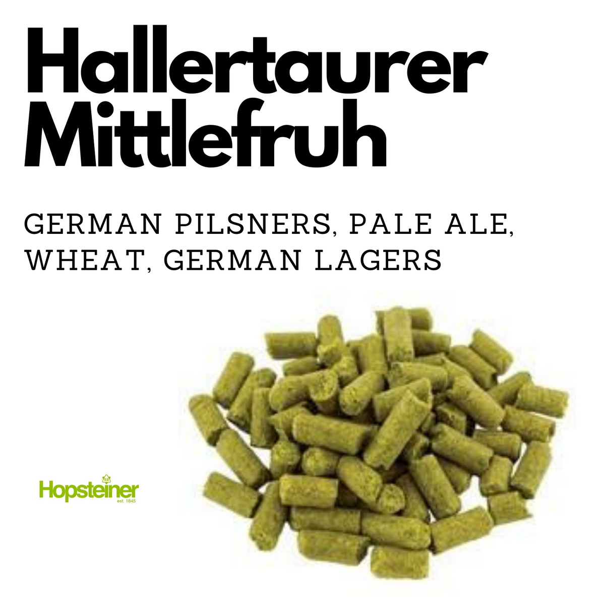 Hallertaurer Mittelfruh German