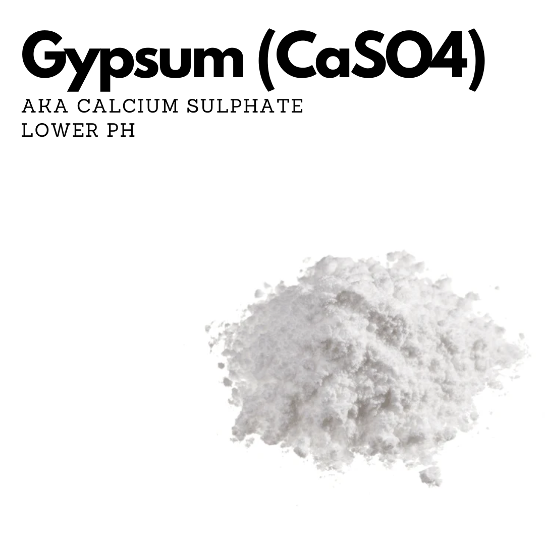 Gypsum (CaSO4)