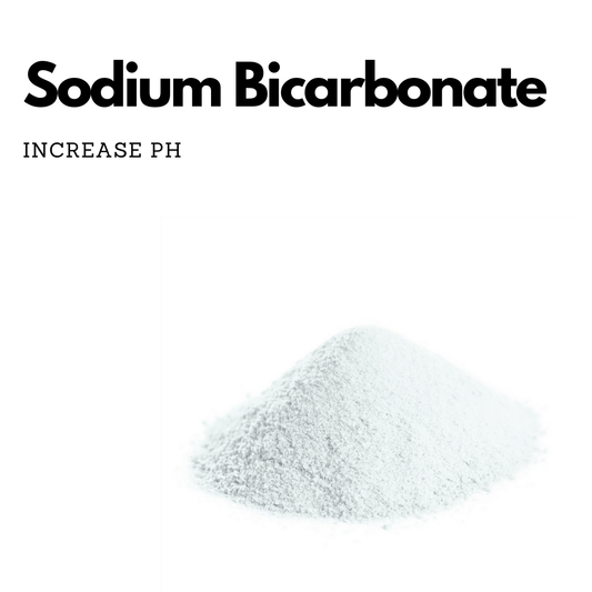 Sodium Bicarbonate 100 g