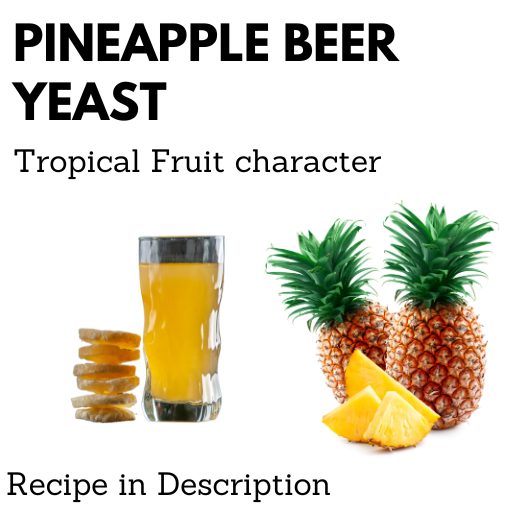 Pineapple Beer Yeast
