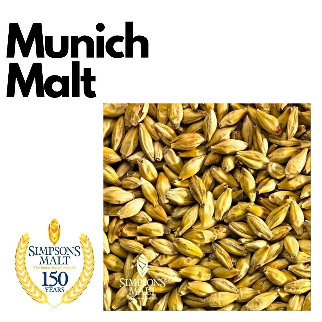 Munich - Simpsons