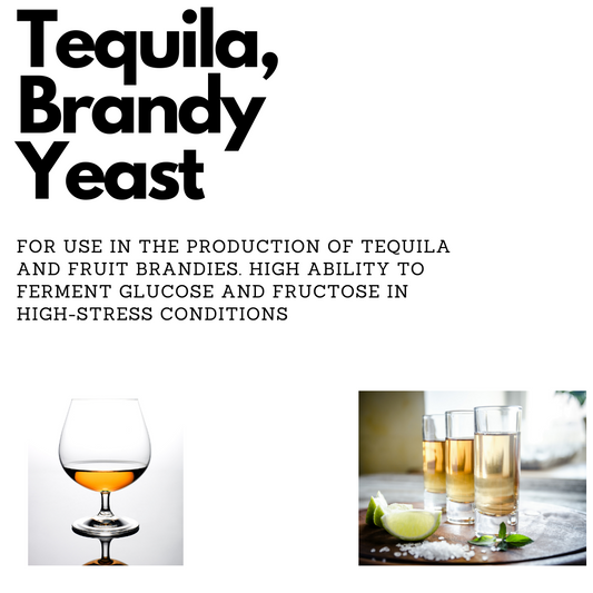 Tequila & Fruit Brandy Distilling Yeast 100g