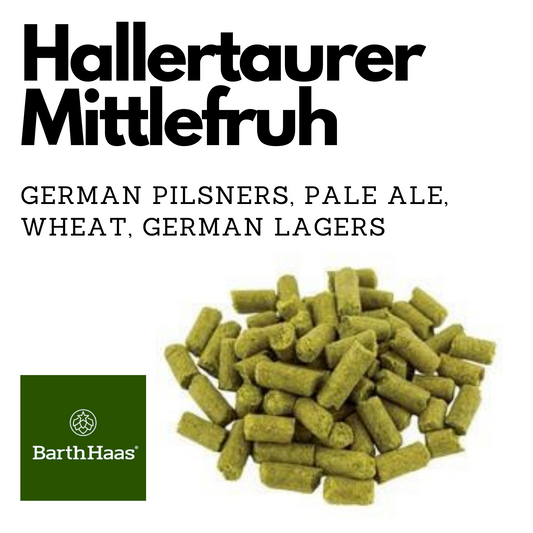 Hallertaurer Mittelfruh German
