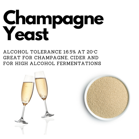 Champagne Yeast -  20 g