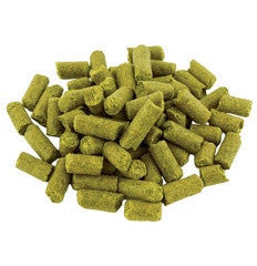 Citra Hops USA
